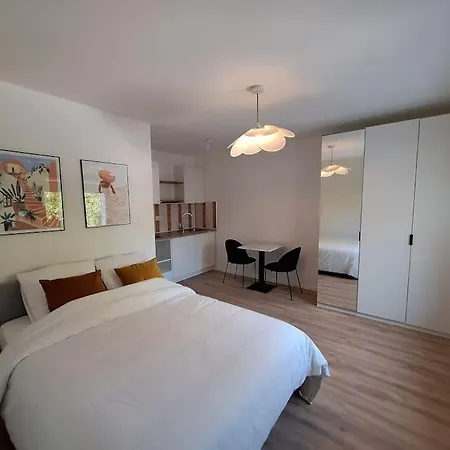 Grande Maison Elegante Argenteuil